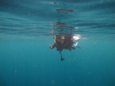 diving in sea