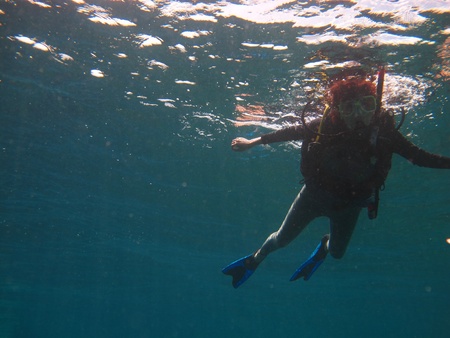 diving in seaのeditorial素材