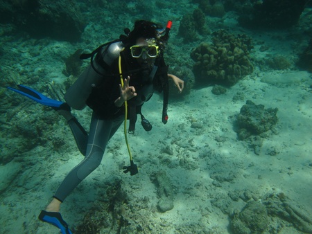 diving in seaのeditorial素材