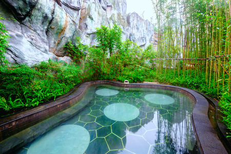 outdoor spa pool with bamboo shelfのeditorial素材