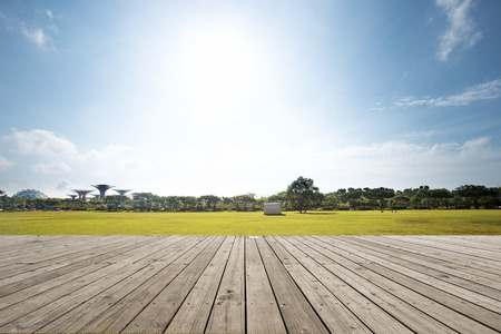 empty wooden floor near park in blue skyのeditorial素材