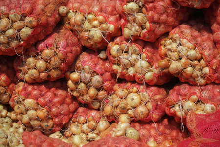 The storage of onions crop in bags at a warehouseの写真素材