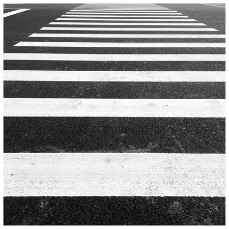 Zebra crossingの写真素材