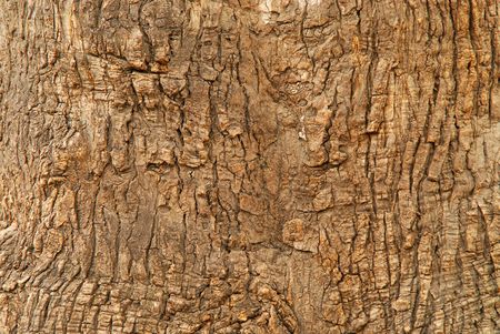 Textured backgroundの写真素材