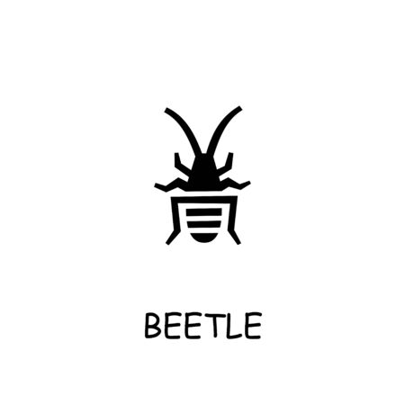 Beetle flat vector icon. Hand drawn style design illustrations.のイラスト素材