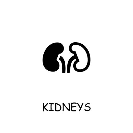 Kidneys flat vector icon. Hand drawn style design illustrations.のイラスト素材
