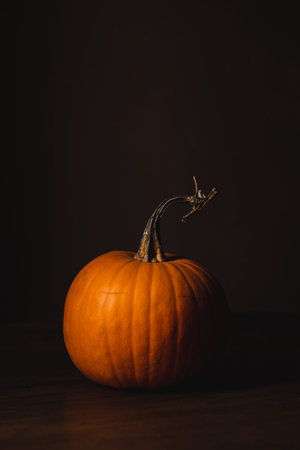 Halloween pumpkin on dark background with copy space. Halloween concept.の写真素材