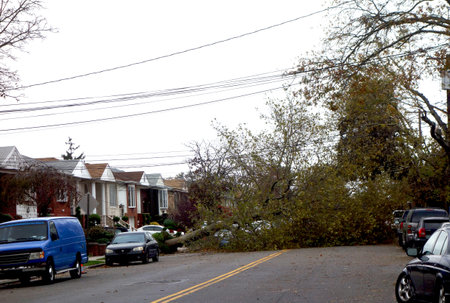 BROOKLYN, NY -OCTOBER 30: Fallen tree in the aftermath of Hurricane Sandy on October 30, 2012 in Brooklyn, NYのeditorial素材
