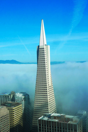 SAN FRANCISCO,CA - MARCH 29:Areal view on Transamerica pyramid and city of San Francisco covered by dense fog on March 29, 2013. The Transamerica Pyramid is the tallest skyscraper in San Francisco のeditorial素材