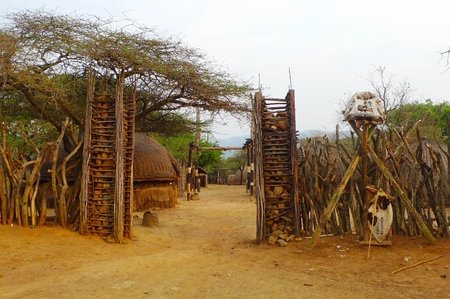 ZULULAND, SOUTH AFRICA - SEPTEMBER 14: Entrance to the  Great Kraal  in Shakaland Zulu Village on September 14, 2009. A unique cultural center built on the set of movies Shaka Zulu and John Rossのeditorial素材