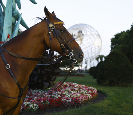 FLUSHING, NY- SEPTEMBER 5   NYPD police horse in the front of 1964 New York World s Fair Unisphere in Flushing Meadows Park on September 5, 2013 in Flushing, NYのeditorial素材