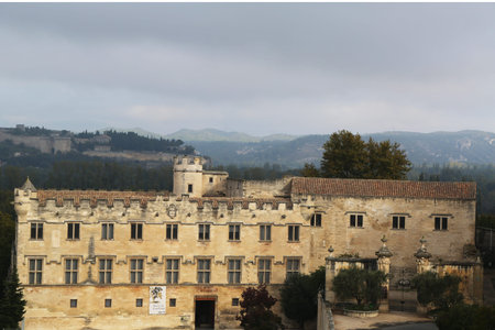 Le Petit Palais Museum in Avignon, Franceのeditorial素材