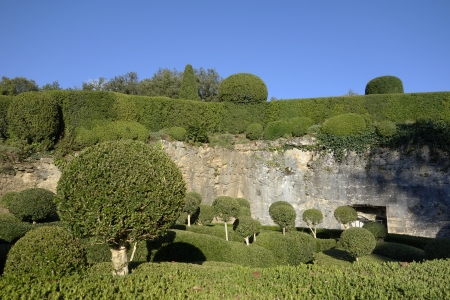 Landscaped Marqueyssac Gardens in Franceの写真素材