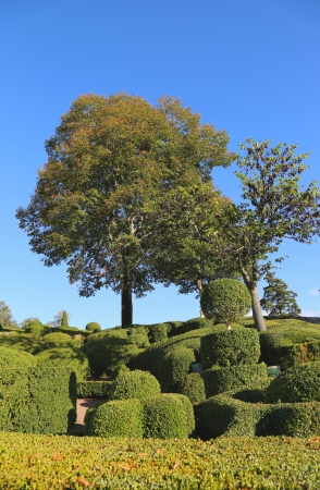 Landscaped Marqueyssac Gardens in Franceの写真素材
