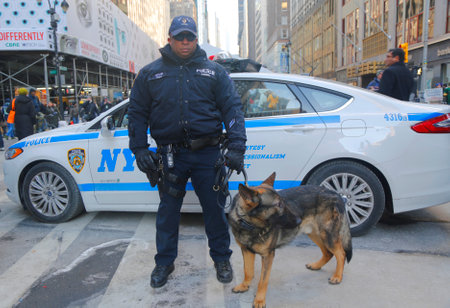NEW YORK - JANUARY 30   NYPD transit bureau K-9 police officer and K-9 German Shepherd providing security on Broadway during Super Bowl XLVIII week in Manhattan on January 30, 2014 のeditorial素材