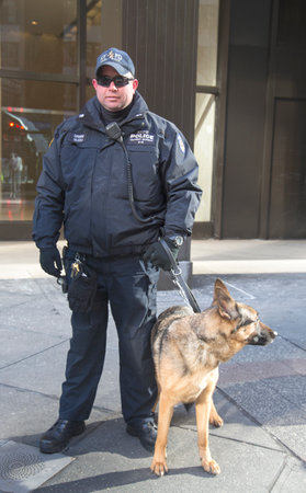 NEW YORK - JANUARY 30  NYPD transit bureau K-9 police officer and K-9 German Shepherd providing security on Broadway during Super Bowl XLVIII week in Manhattan on January 30, 2014 のeditorial素材
