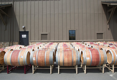 Oak barrels at the vineyard 