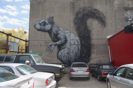 NEW YORK - MAY 6  Squirrel mural  in Williamsburg section in Brooklyn on May 6, 2014  Williamsburg is an influential hub of current indie rock, hipster culture, and the local art communityのeditorial素材