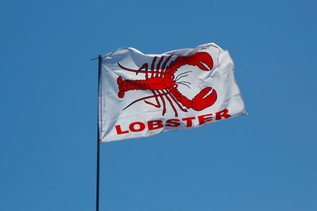 Lobster flag