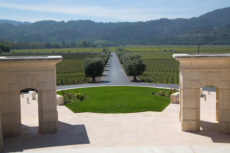 NAPA VALLEY, CA - APRIL 14  Napa Valley view from Opus One Winery on April 14, 2014  In the 1990s, Opus One became the California cult wine to be widely sold in Asia and Europe のeditorial素材