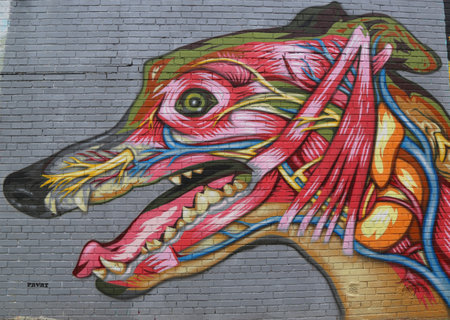 NEW YORK - JULY 24 Mural art at East Williamsburg in Brooklyn on July 24, 2014. Outdoor art gallery known as the Bushwick Collective has most diverse collection of street art in Brooklynのeditorial素材