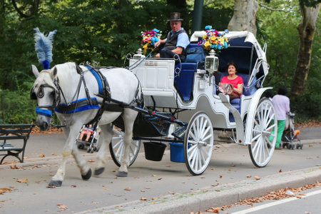 NEW YORK - SEPTEMBER 8: People enjoy carriage ride in Central Park on September 8, 2014 in Manhattan. Horse-Drawn Carriages are a wonderful way to experience the beauty of the Parkのeditorial素材