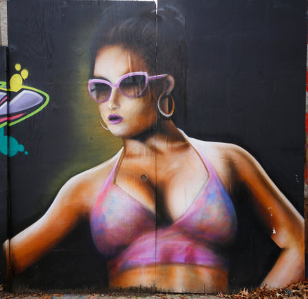 NEW YORK - DECEMBER 14: Mural art at Prospect Heights neighborhood in Brooklyn on December 14, 2014. A mural is any piece of artwork painted or applied directly on a wall or other permanent surface.のeditorial素材