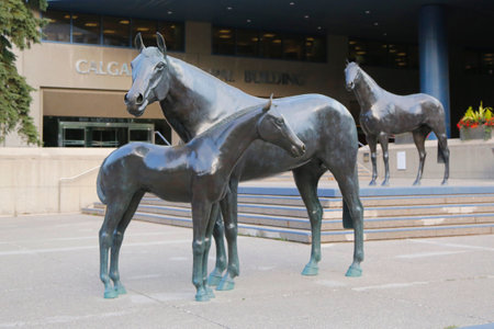 CALGARY, CANADA - JULY 29, 2014: Bronze statue called Family of Horses in Calgary, Alberta. The statue is located in the center of Municipal Plaza with City Hall in the background.のeditorial素材