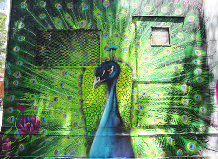 NEW YORK - JUNE 16, 2015: Mural art at Houston Avenue in Lower Manhattan. A mural is any piece of artwork painted or applied directly on a wall, ceiling or other large permanent surfaceのeditorial素材