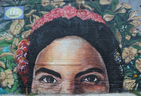 NEW YORK - JUNE 30, 2015: Mural art in Red Hook section of Brooklyn. A mural is any piece of artwork painted or applied directly on a wall, ceiling or other large permanent surfaceのeditorial素材