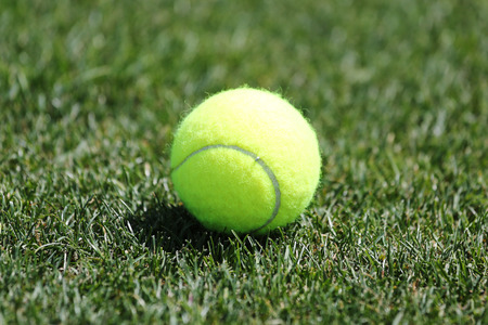 Tennis ball on grass tennis courtの写真素材