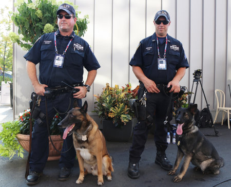 NEW YORK - SEPTEMBER 1, 2015: NYPD transit bureau K-9 police officers and Belgian Shepherds providing security at National Tennis Center during US Open 2015 in New Yorkのeditorial素材