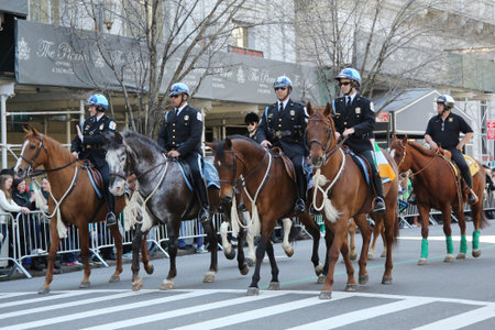 NEW YORK - MARCH 17, 2016: The United States Park Police Horse Mounted Unit participate at the St....
