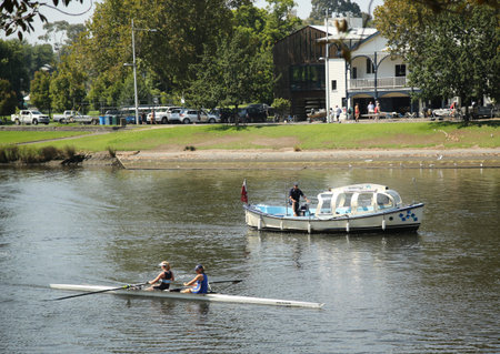 MELBOURNE, AUSTRALIA - JANUARY 25, 2016: Melbourne water taxi and rowing team on the Yarra riverのeditorial素材