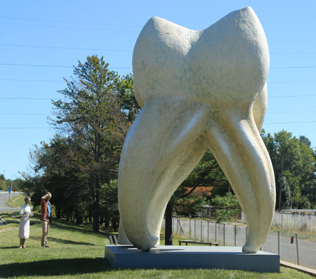 HAMILTON, NEW JERSEY - SEPTEMBER 25, 2016: Tooth sculpture by artist Seward Johnson in Hamilton, NJ. John Seward Johnson II  is an American artist known for his trompe l'oeil painted bronze statuesのeditorial素材