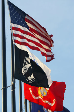 BROOKLYN, NEW YORK - FEBRUARY 14, 2019: Military flags of the United States in Brooklyn, New Yorkのeditorial素材