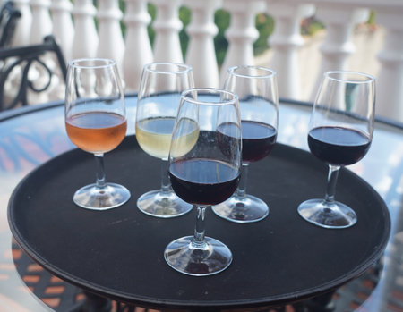 Wine Tasting by the Vineyard