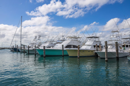 WEST PALM BEACH, FLORIDA - MARCH 30, 2019: Sailboats and yachts at Sailfish Marina in Florida. Sailfish Marina Resort is a favorite docking in the Palm Beachesのeditorial素材