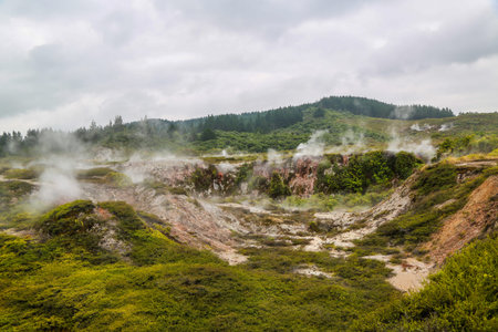 Craters of the Moon Thermal Area with beautiful geysers in Wairakei Thermal Valley, New Zealand.の写真素材
