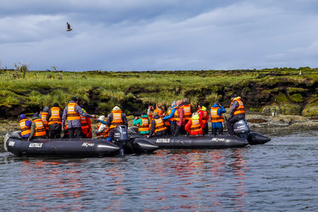 TUCKERS ISLETS, CHILE - FEBRUARY 1, 2020: Tourists watching Magellanic penguins at Tuckers Islets during Tierra del Fuego cruise ship "Ventus Australis" expeditionのeditorial素材