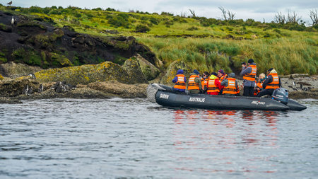 TUCKERS ISLETS, CHILE - FEBRUARY 1, 2020: Tourists watching Magellanic penguins at Tuckers Islets during Tierra del Fuego cruise ship "Ventus Australis" expeditionのeditorial素材