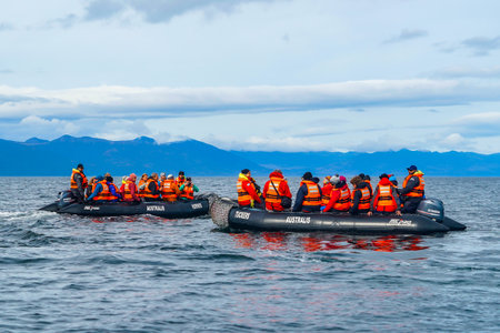 TUCKERS ISLETS, CHILE - FEBRUARY 1, 2020: Tourists disembark from cruise ship "Ventus Australis" at Tuckers Islets during fjords of Tierra del Fuego expedition cruiseのeditorial素材