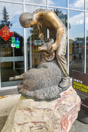 ROTORUA, NEW ZEALAND - FEBRUARY 3, 2019: A bronze statue to the sheep shearer at the Agrodome in Rotorua. The Agrodome in Rotorua is a major tourist attraction in New Zealandのeditorial素材