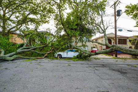 BROOKLYN, NEW YORK - AUGUST 4, 2020: Fallen trees damaged power lines, sidewalk and car in the aftermath of severe weather as tropical storm Isaias hits New York Cityのeditorial素材