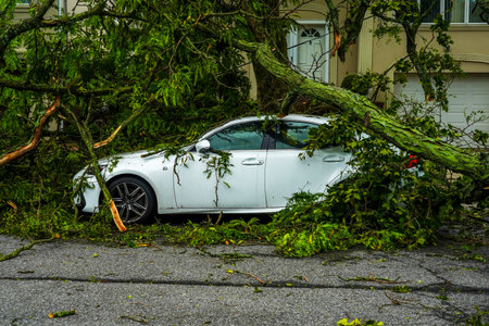 BROOKLYN, NEW YORK - AUGUST 4, 2020: Fallen trees damaged power lines, sidewalk and car in the...