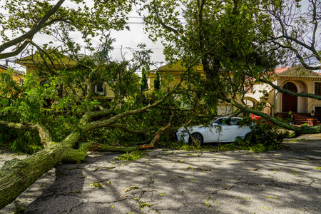 BROOKLYN, NEW YORK - AUGUST 4, 2020: Fallen trees damaged power lines, sidewalk and car in the aftermath of severe weather as tropical storm Isaias hits New York Cityのeditorial素材