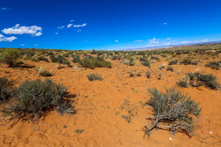 Desert Landscape in Arizona, United Statesの素材 [FY310163138874]