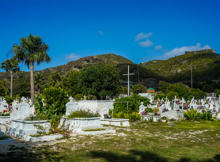 ST BARTS, FRENCH WEST INDIES - FEBRUARY 3, 2021: The St. John Cemetery on the island of Saint Barthelemy, a French-speaking Caribbean island commonly known as St. Bartsのeditorial素材