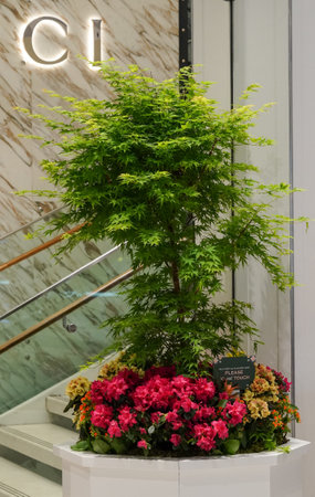 NEW YORK - MAY 2, 2021: Flower decoration during famous Macy's Annual Flower Show at the Macy's Herald Square in midtown Manhattanのeditorial素材