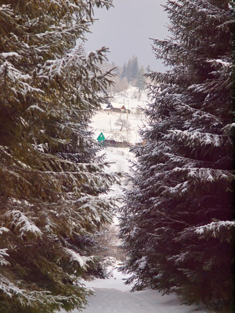 Winter mountain forest. Snowy road. Mountain village.の写真素材